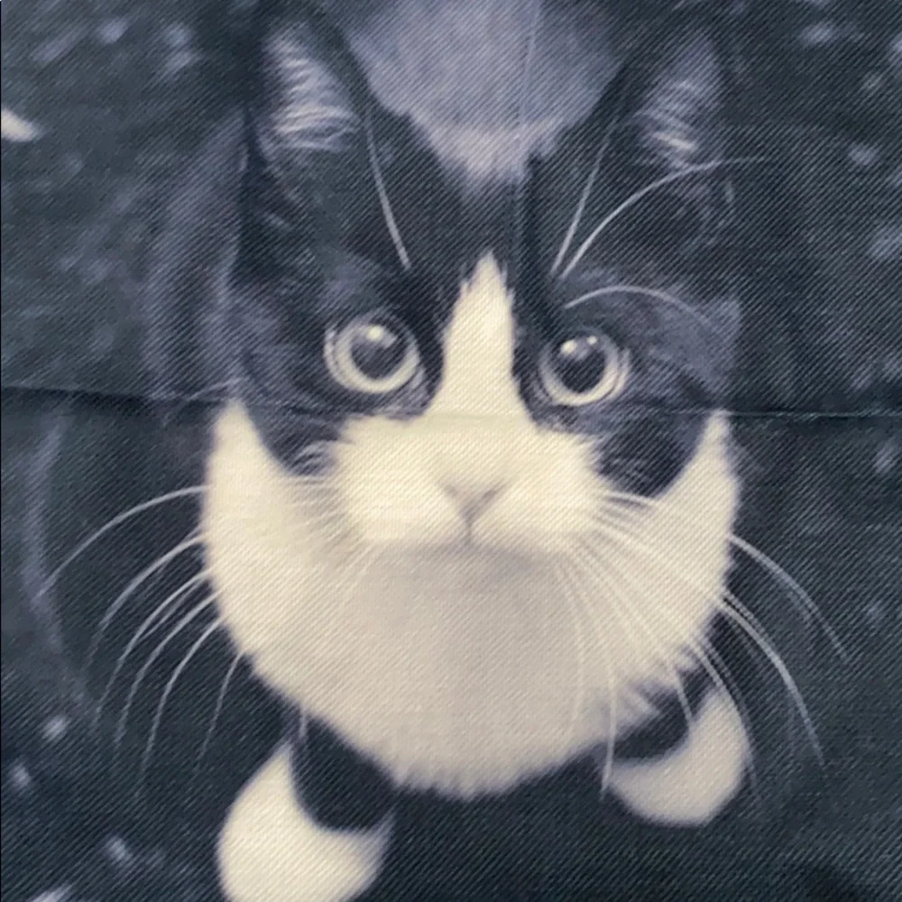 🆕🐈 Cat Throw Pillow Cover- Black and Cream